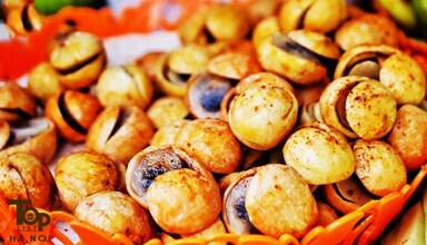 Sấu dầm là sự lựa chọn của nhiều bạntrẻ