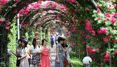 khu sinh thái gần Hà Nội 1
