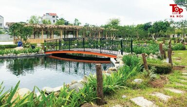 khu sinh thái gần Hà Nội 4