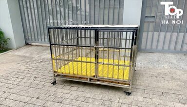 Chuongchodep.com có kinh nghiệm trong lĩnh vực cung cấp lồng chim, chuồng chó