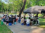 Tô tượng Hà Nội - Công viên Thống Nhất 